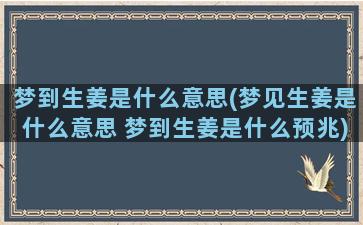 梦到生姜是什么意思(梦见生姜是什么意思 梦到生姜是什么预兆)